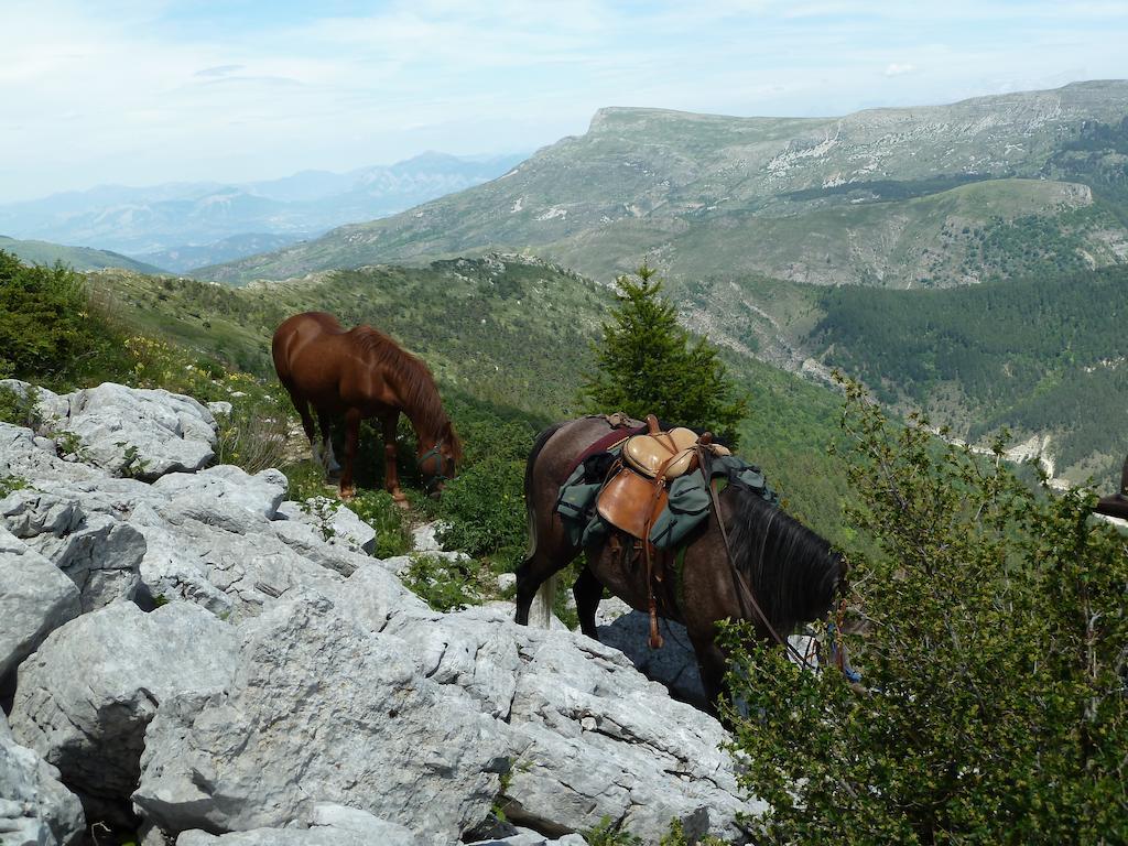 Gite Des Monges Sisteron Esterno foto