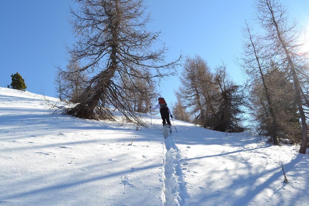 Gite Des Monges Sisteron Esterno foto