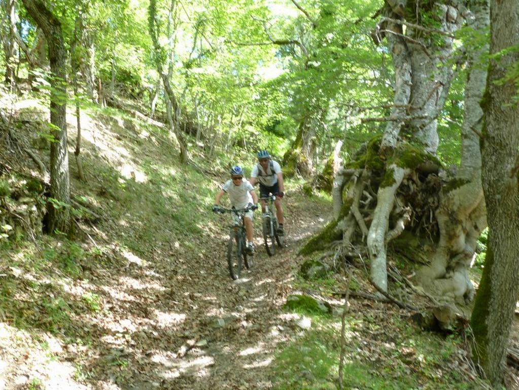 Gite Des Monges Sisteron Esterno foto