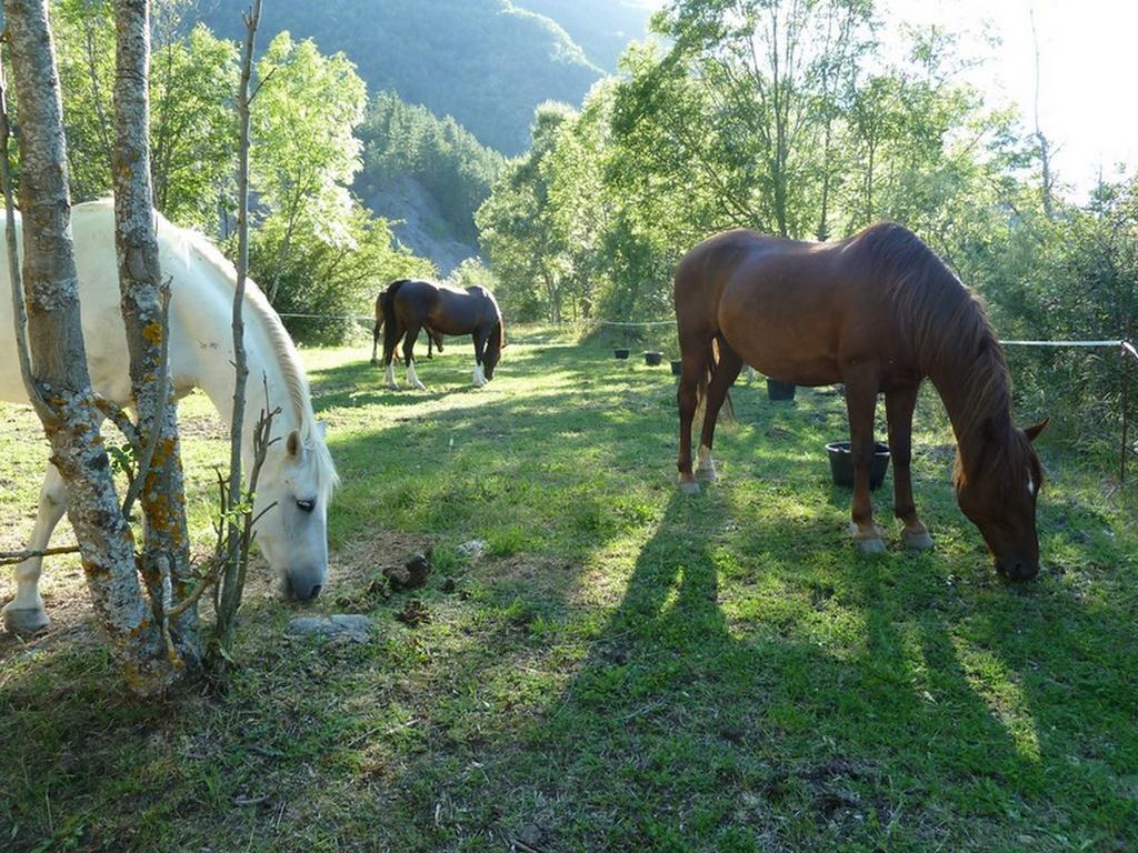 Gite Des Monges Sisteron Esterno foto